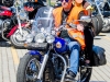 Egg Run 2014