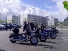 Egg Run 2015